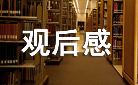 建黨偉業(yè)觀后感800字精選