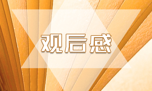 2022年最新首部青年宣傳片《我們》觀后感